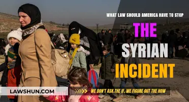 Preventing Syrian-Like Crises: Essential Legal Reforms for U.S. Foreign Policy