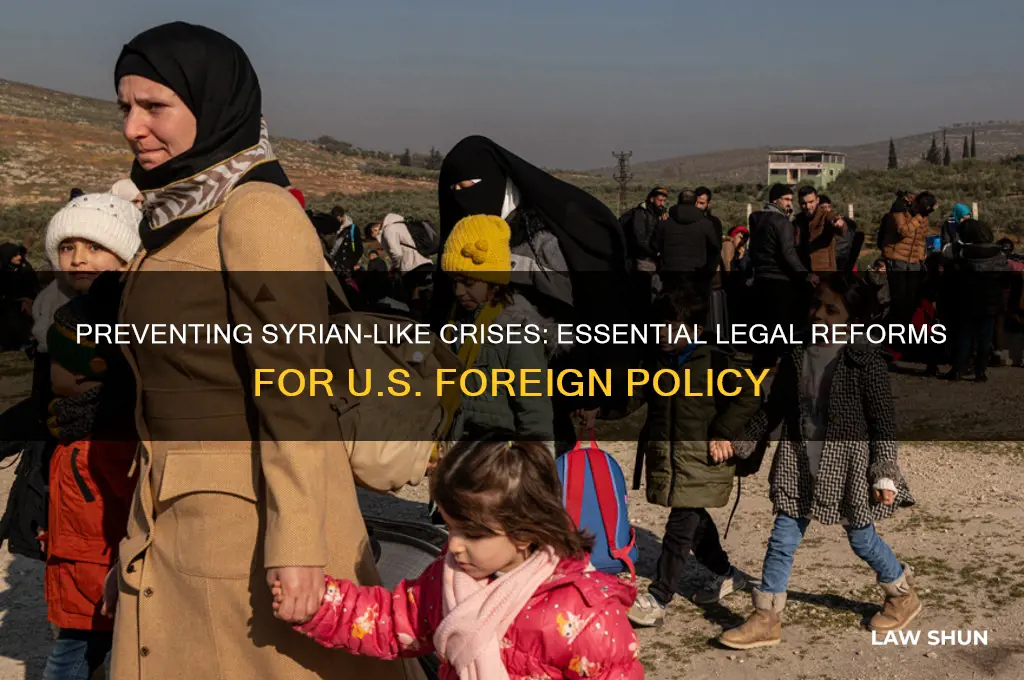 what law should america have to stop the syrian incident