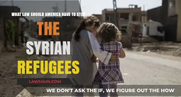 Humanitarian Approach: Balancing Security and Compassion for Syrian Refugees in America