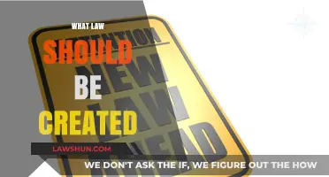 Creating Laws: What Should Be Illegal?