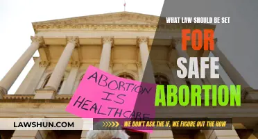 Safe Abortion: What Legal Protections Are Needed?