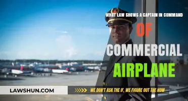 Captain's Authority: The Law Governing Commercial Airline Command