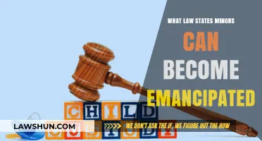 Emancipation Law: Minors' Rights and Independence