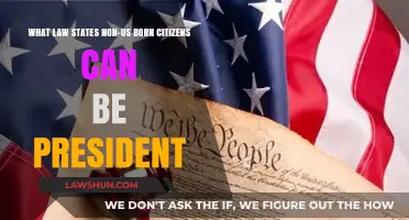 Foreign-Born Citizens: Can They Be President?