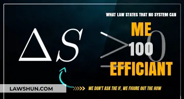 The Law of Efficiency: Limits of Systems