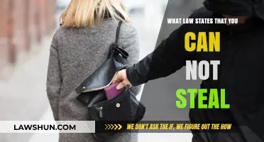 Theft Laws: Understanding the Legal Definition of Stealing