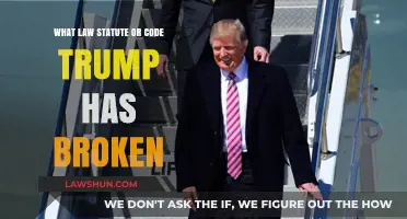 Trump's Legal Troubles: Exploring Potential Statute and Code Violations