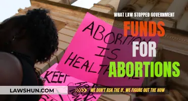 Hyde Amendment: Blocking Abortion Funding