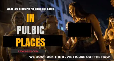 Public Nudity Laws: Understanding Legal Limits on Nakedness in Public Spaces
