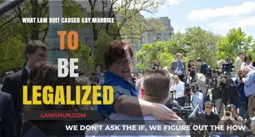 Obergefell v. Hodges: The Landmark Case Legalizing Gay Marriage Nationwide