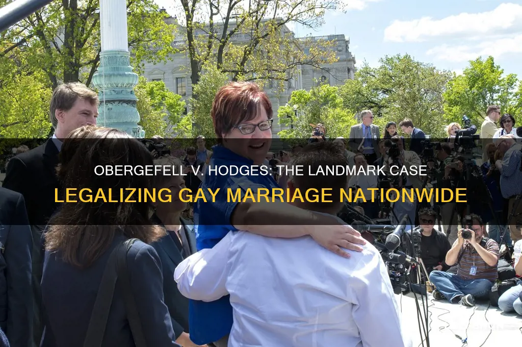 what law suit caused gay marrige to be legalized