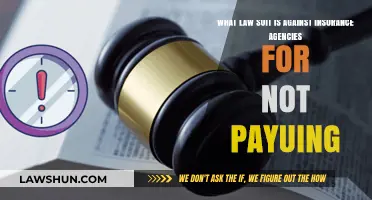 Insurance Agencies Sued: Policyholders Fight Back Over Unpaid Claims