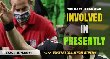Drew Brees' Current Legal Battle: Details of the Ongoing Lawsuit