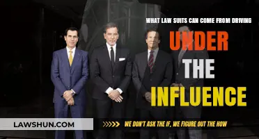 DUI Consequences: Lawsuits and Legal Woes