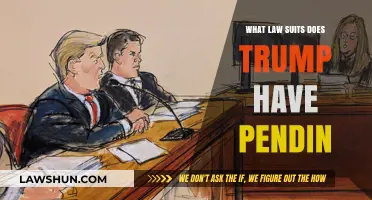 Trump's Legal Battles: Pending Lawsuits and Ongoing Litigation Explained