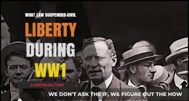 How the Sedition Act of 1918 Curtailed Freedoms During WWI