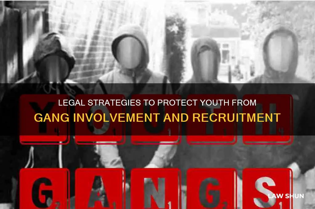 what law system exsists in helping youth from gang membership