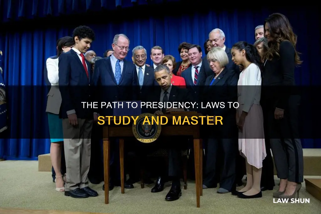 what law to study to become president