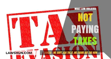 Tax Evasion: Understanding the Legal Consequences