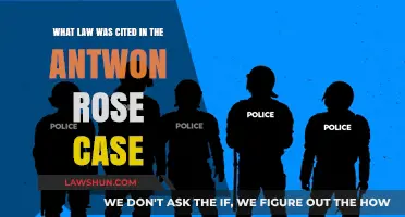 Antwon Rose Case: Understanding the Cited Law