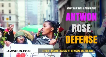 Antwon Rose Defense: Key Law Cited in the Case