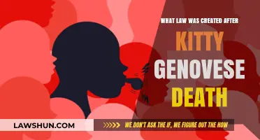 The Kitty Genovese Effect: New Laws to Prevent Bystander Apathy