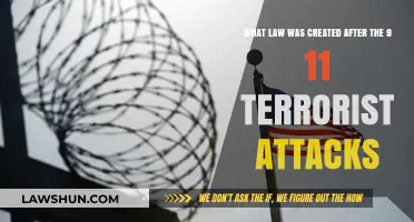 New Laws After 9/11: The Patriot Act and Beyond