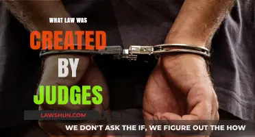 Judicial Lawmaking: Judges as Legislators