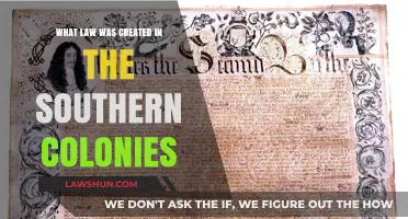 Southern Colonies: Laws and Their Legacy