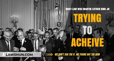 Martin Luther King Jr.'s Legal Legacy: The Civil Rights Act of 1964