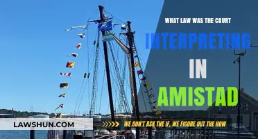 Amistad Case: Interpreting International Law and the Slave Trade