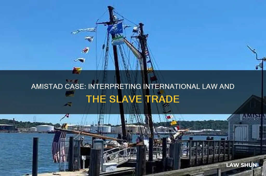 what law was the court interpreting in amistad