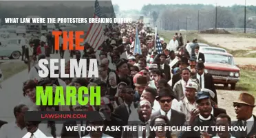 Selma March: Uncovering the Law Broken by Protesters