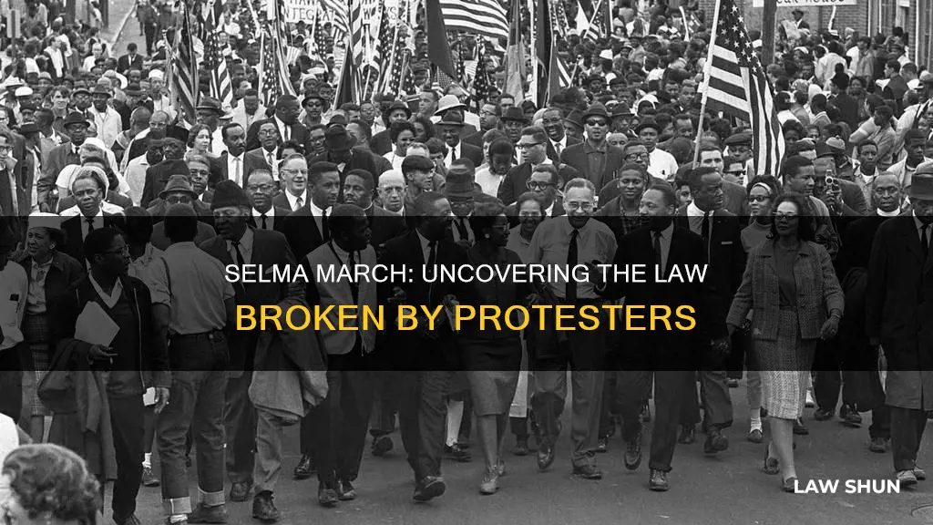 what law were the protesters breaking during the selma march