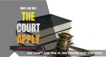 Laws Applied by Courts: Understanding Legal Jurisdiction