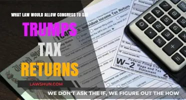 Congressional Power: Trump's Tax Returns