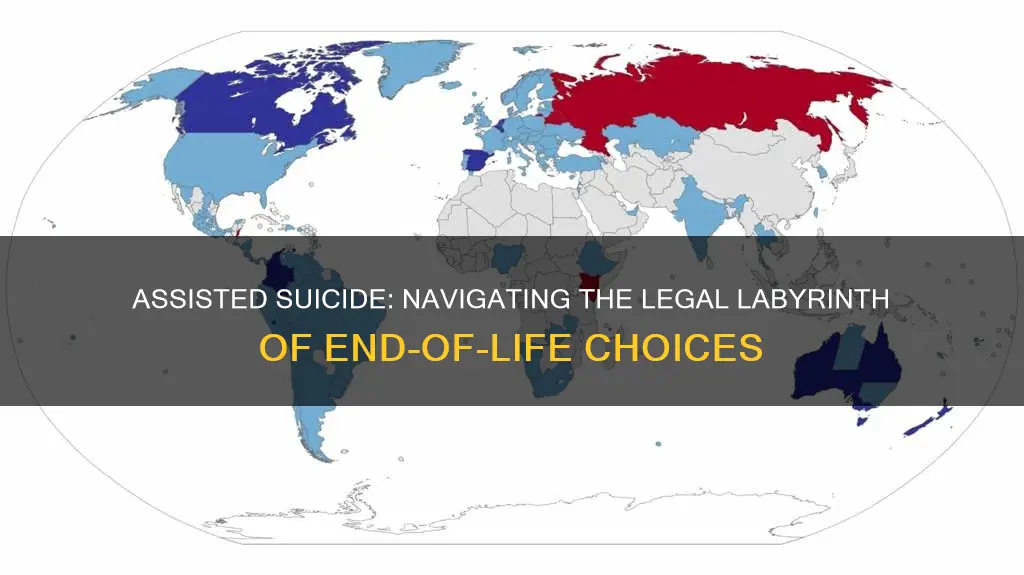 what law would assisted suicide break