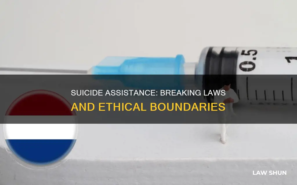what law would assitance suicide break