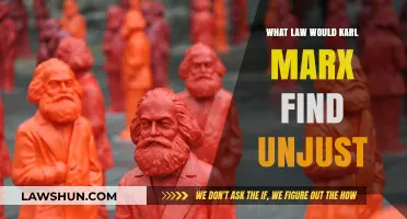 Marx's Critique: Which Laws Would He Deem Inherently Unjust?