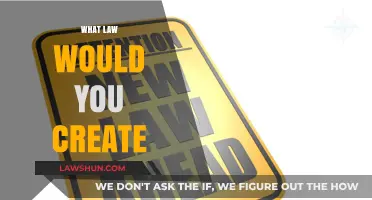 Creating Laws: Your Chance to Change the World