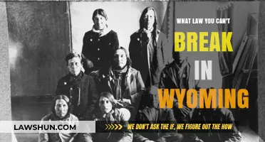 Wyoming's Unbreakable Laws: What You Can't Do