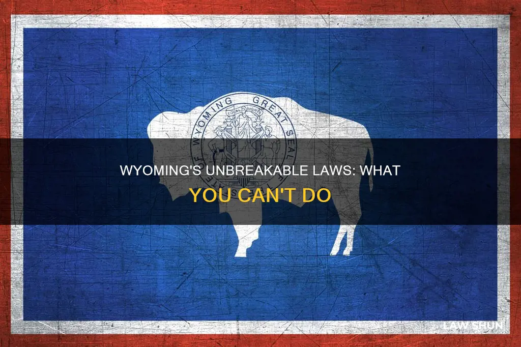 what law you can