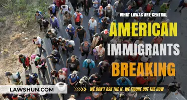 Unveiling the Legal Breaches: Central American Immigrants' Violations