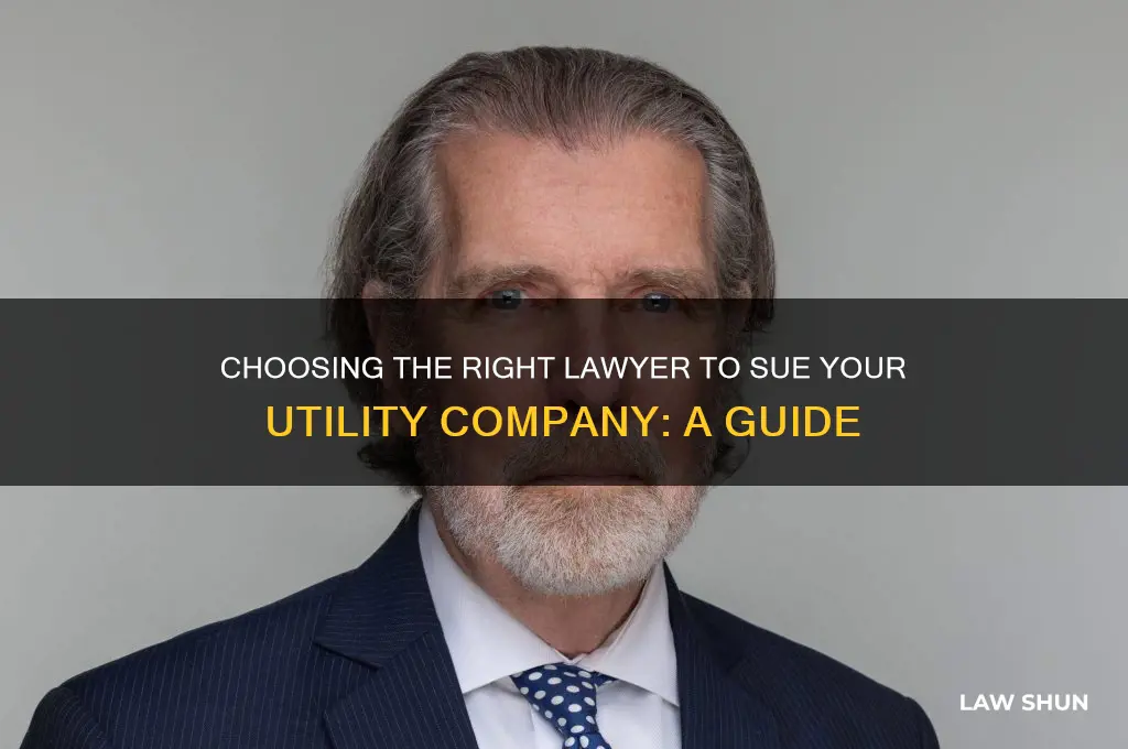 what lawer do i need to sue a utility