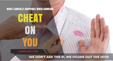 Legal Consequences of Infidelity: What Happens When Your Partner Cheats