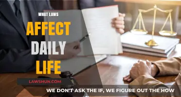 Understanding Everyday Laws: How Legal Rules Shape Our Daily Lives