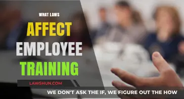 Key Legal Considerations Shaping Effective Employee Training Programs