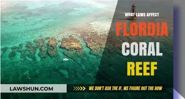 Florida's Coral Reefs: Understanding the Legal Protections and Regulations