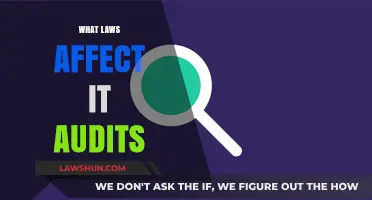 Understanding Legal Frameworks Governing IT Audits: Key Laws and Compliance