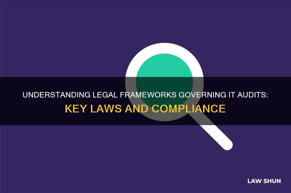 what laws affect it audits
